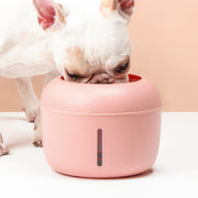 Soufflé Drinking Fountain