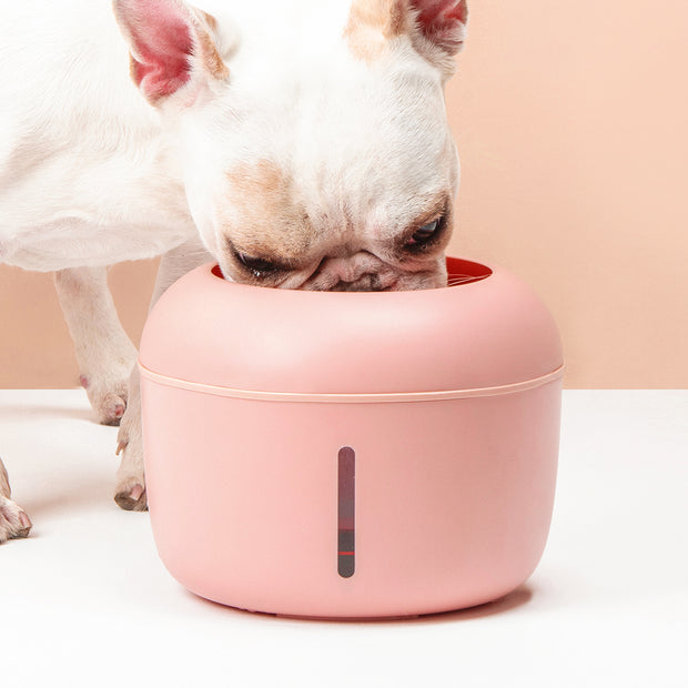 Soufflé Drinking Fountain